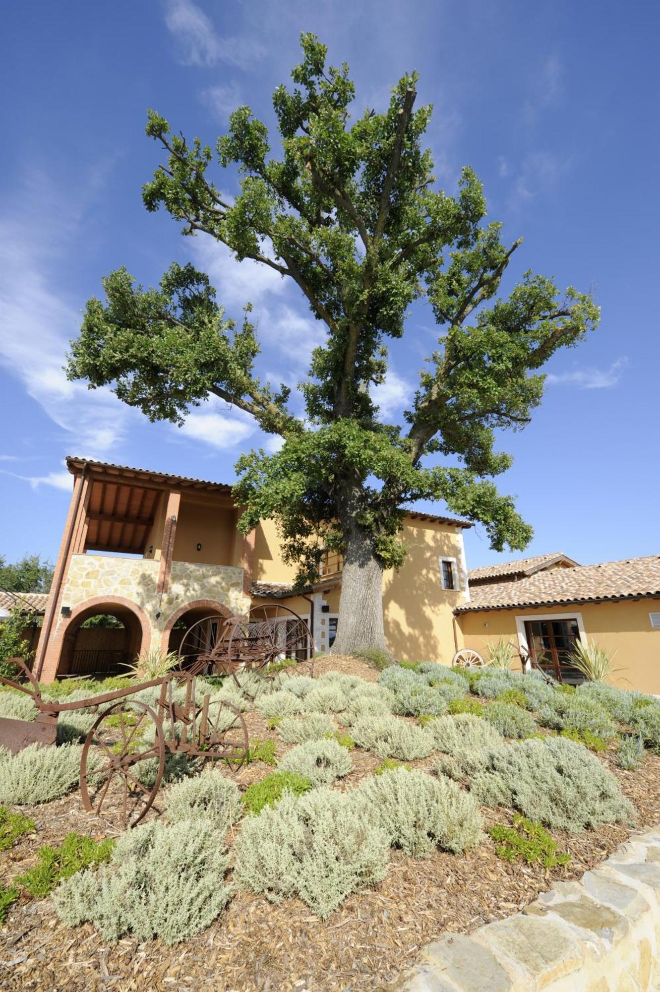 Borgo Magliano Resort Magliano in Toscana Εξωτερικό φωτογραφία
